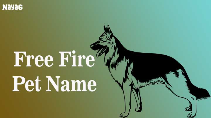 Free Fire Pet Name