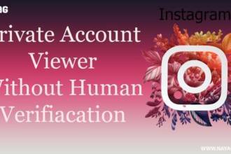 Instagram Private Account Viewer without Human Verification