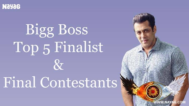 bigg boss Top-5-finalist