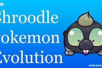 Shroodle Pokemon Evolution