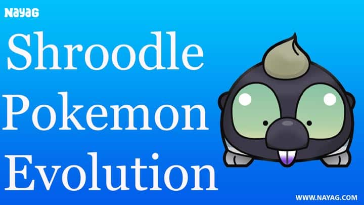 Shroodle Pokemon Evolution