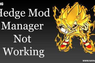Hedge Mod Manager Not Working