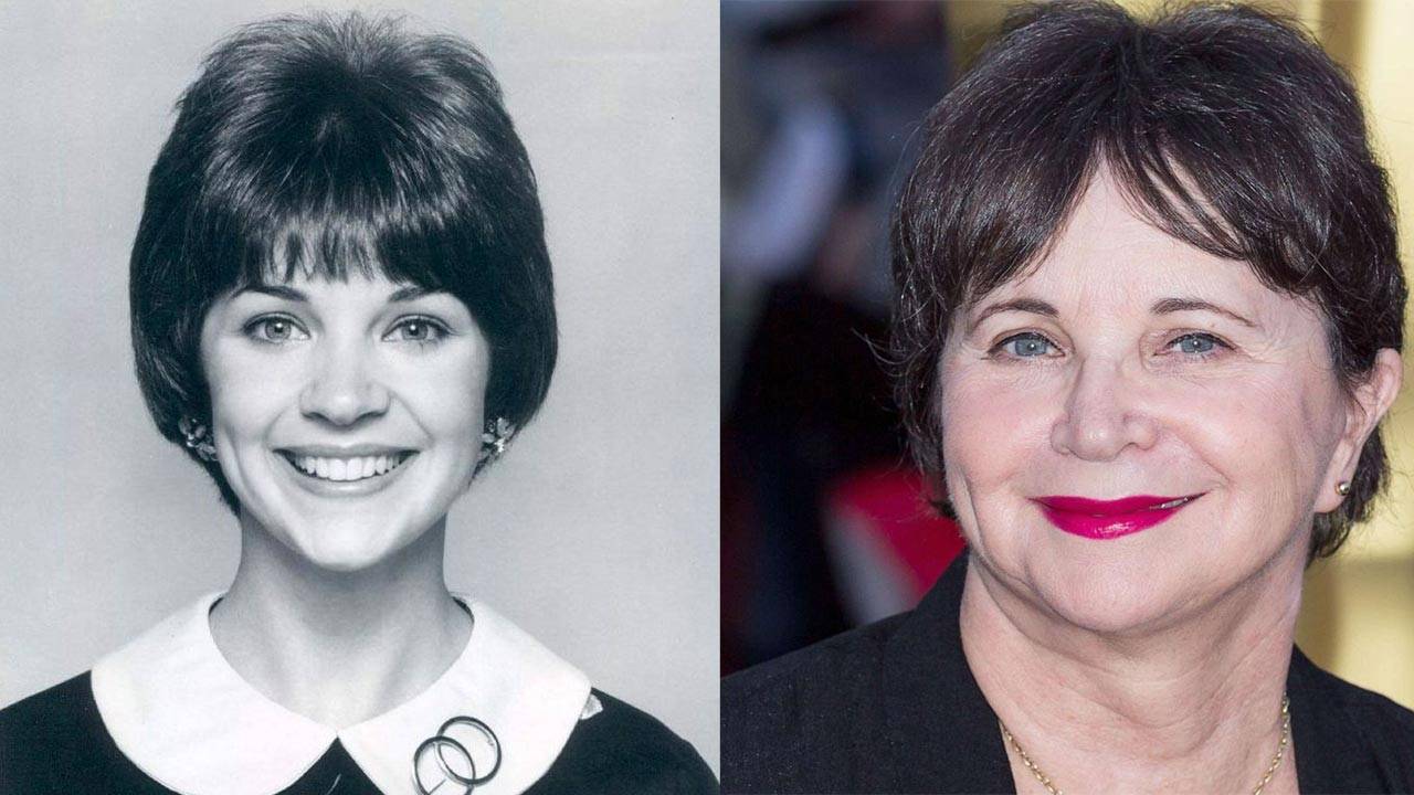 What happened to Cindy Williams