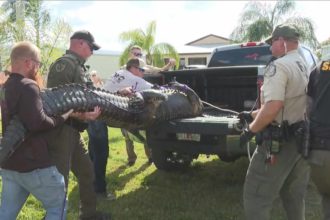 85 Year Old Killed by Alligator Video