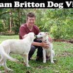 Adam Britton Dog Video Reddit
