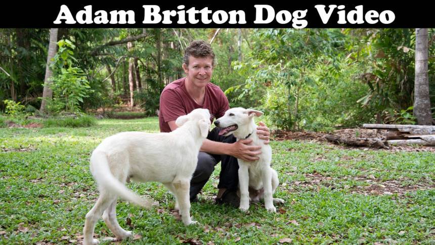 Adam Britton Dog Video Reddit