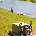 Florida Gator Attack Video