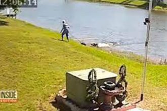 Florida Gator Attack Video
