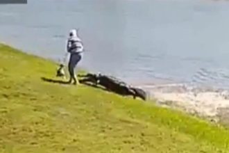 Florida Woman Alligator Full Video