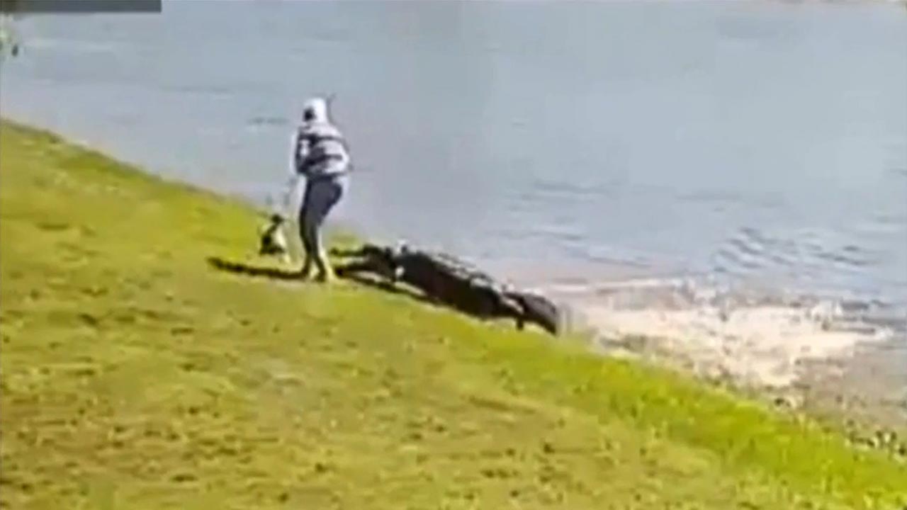 Florida Woman Alligator Full Video