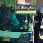 Macarthur-Anglican-School-Accident