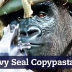 Navy Seal Copypasta Origin