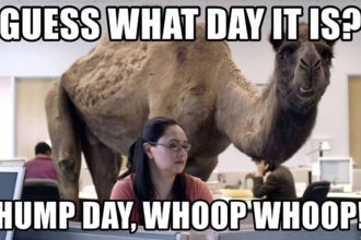 What Day Is Hump Day?