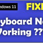 Windows 11 Keyboard Not Working