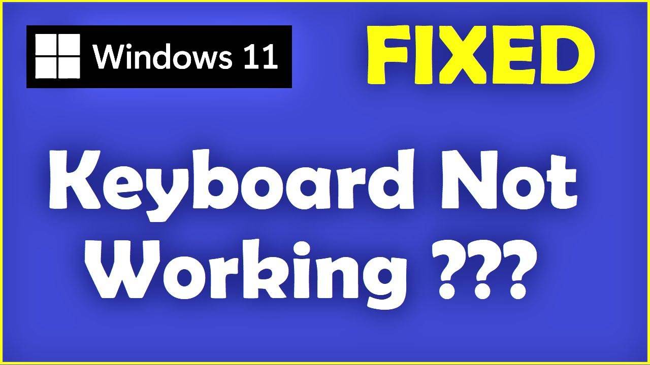 windows 11 install keyboard not working