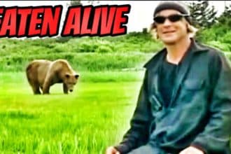 Timothy Treadwell Video Eaten Alive