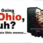What Is Ohio Meme Meaning