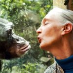 Is Jane Goodall Still Alive or Dead?