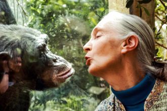 Is Jane Goodall Still Alive or Dead?