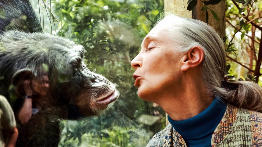 Is Jane Goodall Still Alive or Dead?