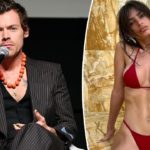 Harry Styles and Emrata Video: