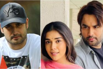 Vivian Dsena Net Worth [year]: