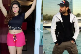 Vivian Dsena First Wife