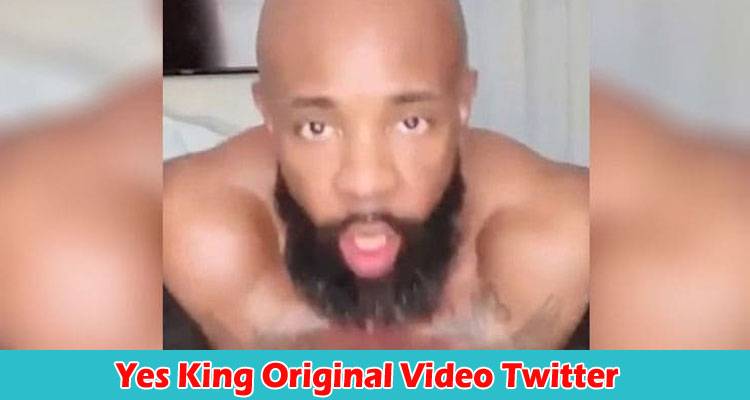 Is that dick good yes king original video