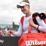 Alison Riske Amritraj Expecting A Baby Child In This Summer